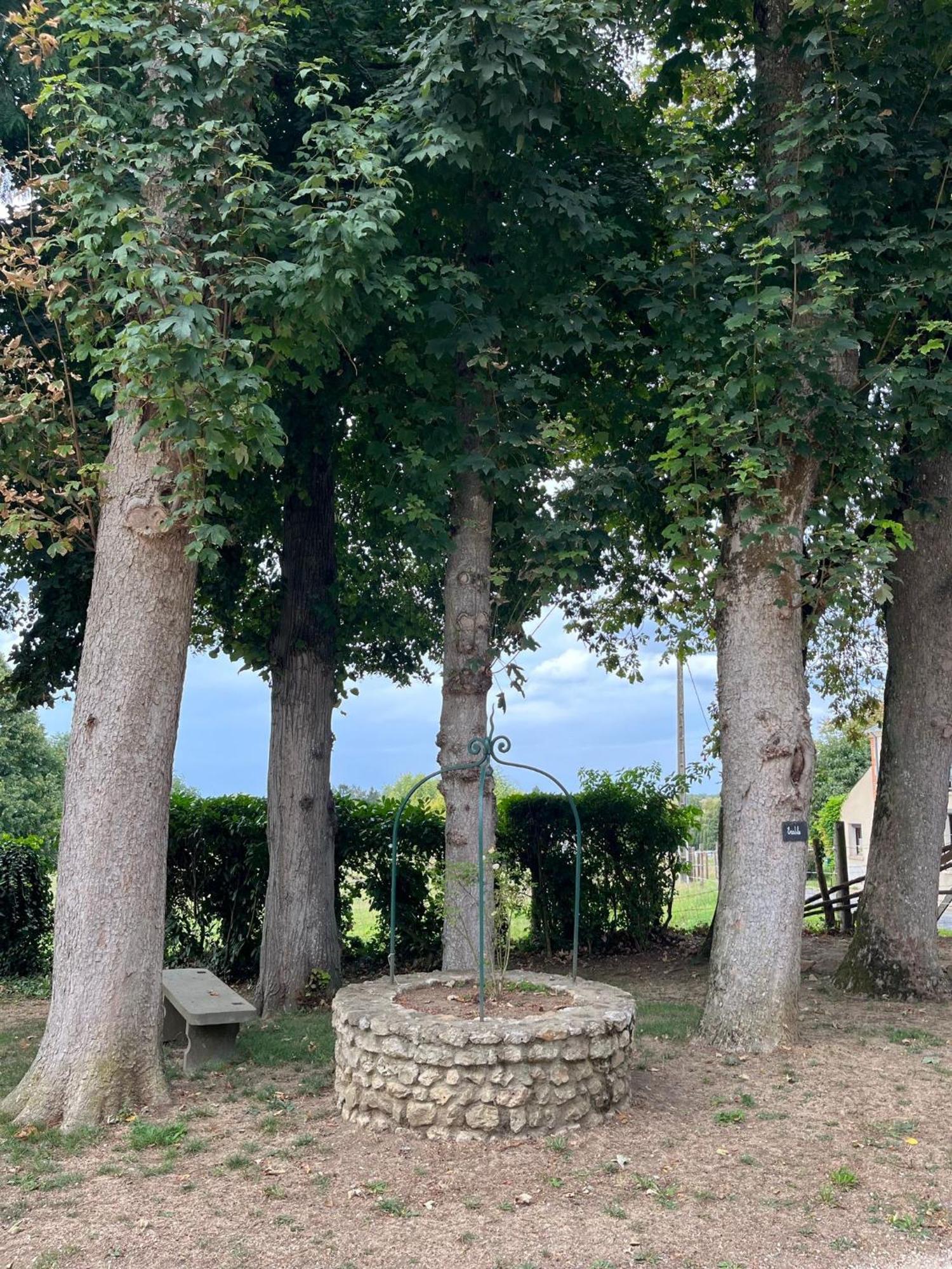 Château de Montaupin Oizé Extérieur photo