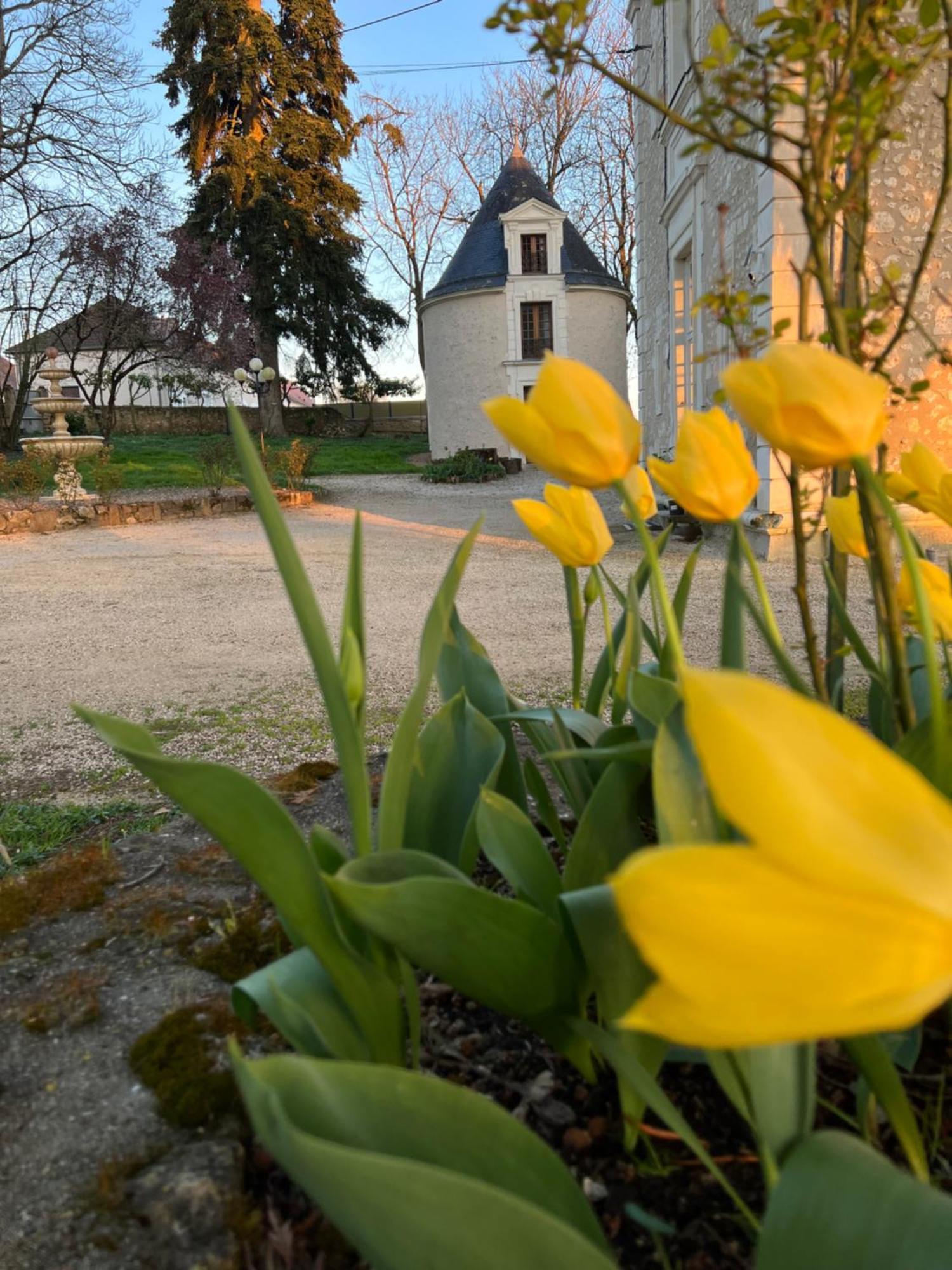 Château de Montaupin Oizé Extérieur photo